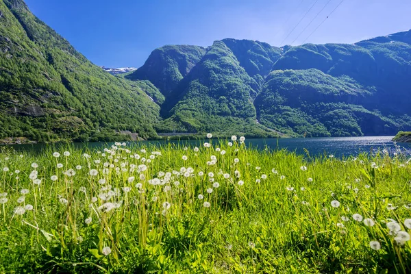 明るい山の湖 — ストック写真