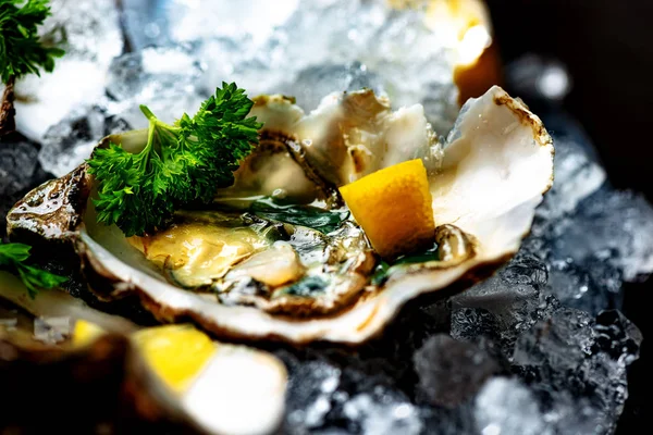 Raw opened oysters on crushed ice — 图库照片