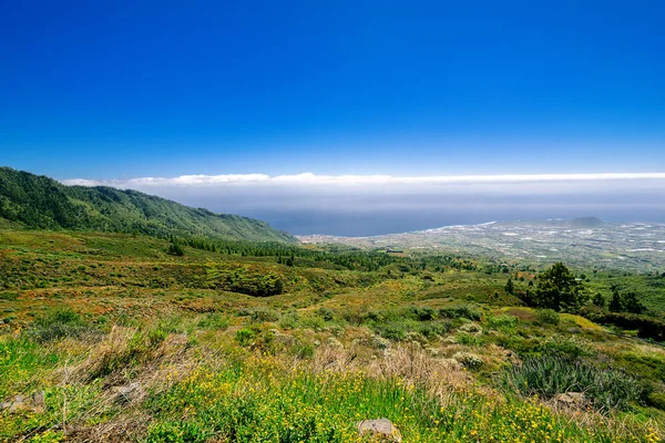 Vue Aérienne Sur Côte Île Tenerife Espagne — Photo