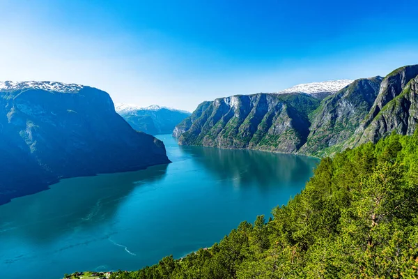 Norwegia Sognefjord Latem Słoneczny Dzień Krajobraz Górą Fiord Las — Zdjęcie stockowe