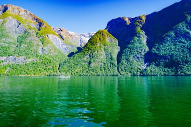 Norveç 'te Yaz Sognefjord fiyordu