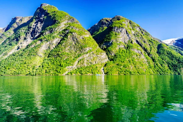 Summer Sognefjord Fjord在挪威 — 图库照片