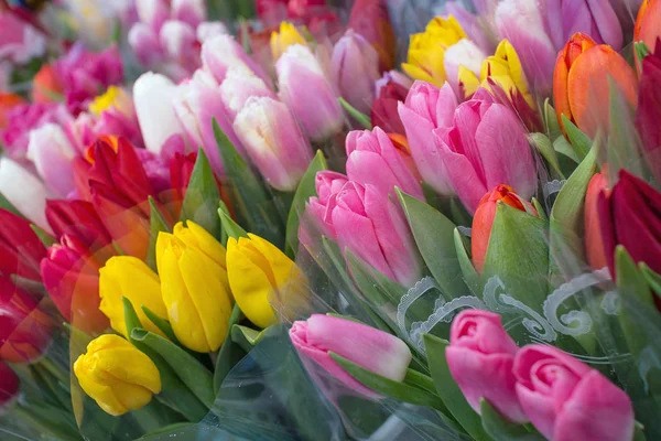 Fondo floral de rosas. Una variedad de tulipanes en ramos . — Foto de Stock