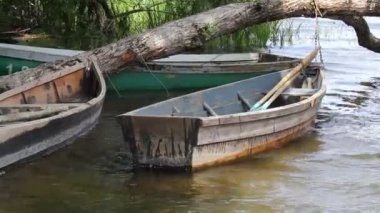 Tekne bir ağaca bağladım su kıyıya, yakın olduğu ve rüzgarın etkisi altında döner.