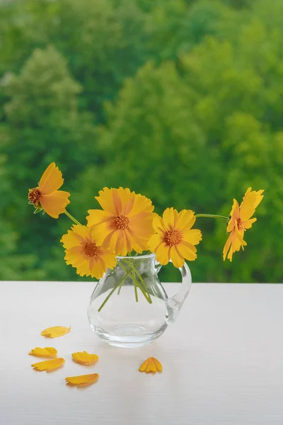 ハルシャギク。ガラスの水差しと黄色の花の花束. — ストック写真