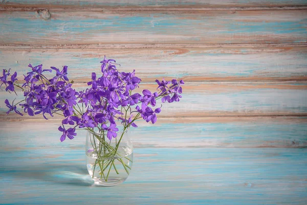 Purple flowers in a glass on a blue background.
