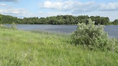 Yaz günü göl kenarında. Ağaçlar büyümek, Rüzgar eser, güneş parlıyor.