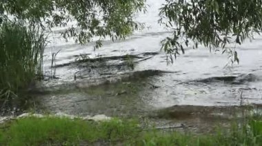 Sörf dalga göl yüzeyi.