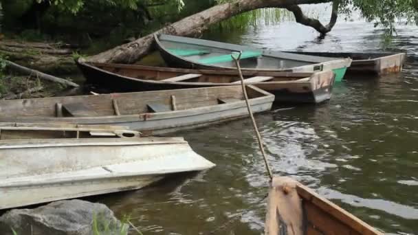 O barco está na água perto da costa, amarrado a uma árvore e gira sob a influência do vento . — Vídeo de Stock