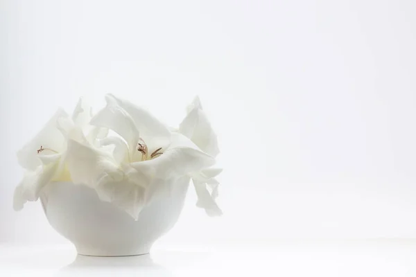 White flowers in vase.