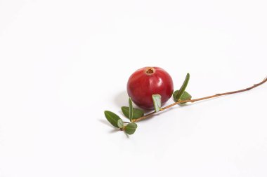 Kızılcık makro beyaz arka plan üzerinde.