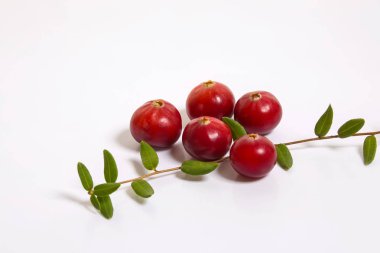 Kızılcık makro beyaz arka plan üzerinde.