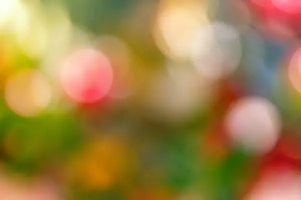Multicolor bright festive background with bokeh — Stock Photo, Image
