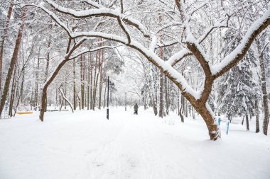kış. Park. Blizzard, kadınsı silueti