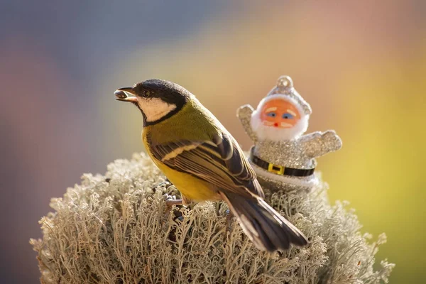 Chickadee hält Sonnenblumenkerne im Schnabel und Weihnachtsmann — Stockfoto