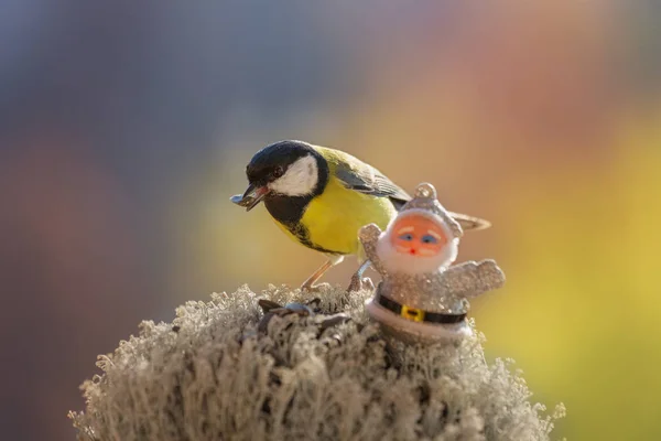 Chickadee tiene un seme di girasole nel becco e Santa — Foto Stock