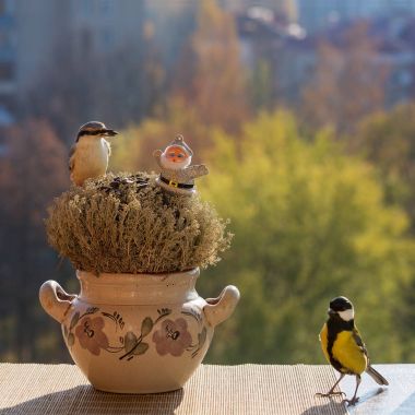 Baştankara, sıvacı kuşu, oyuncak Noel Baba, yemlik, pencere pervazına.