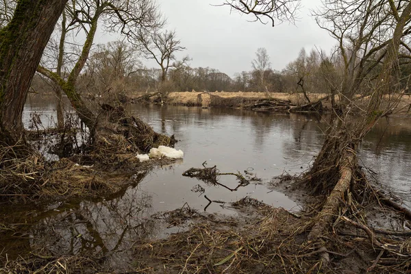 Paesaggio Primaverile Con Vista Sul Fiume Durante Inondazioni Inizio Primavera — Foto Stock