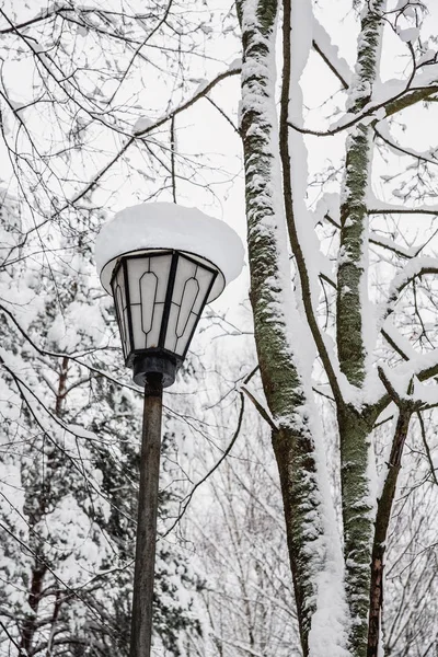 La lanterne est recouverte de neige dans le parc — Photo
