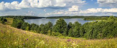 Bir göl ve kır çiçekleri, yaz yatay.