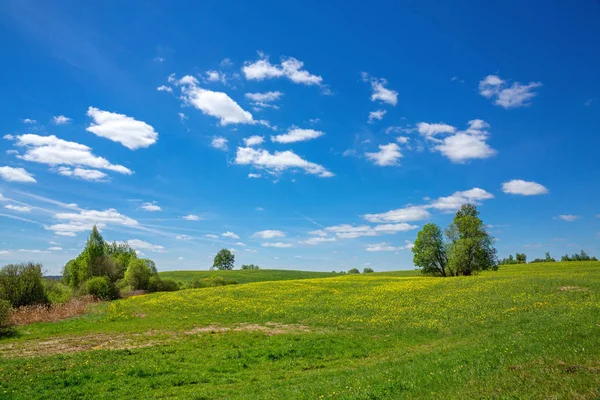 青い空とタンポポ、春の風景のフィールド — ストック写真