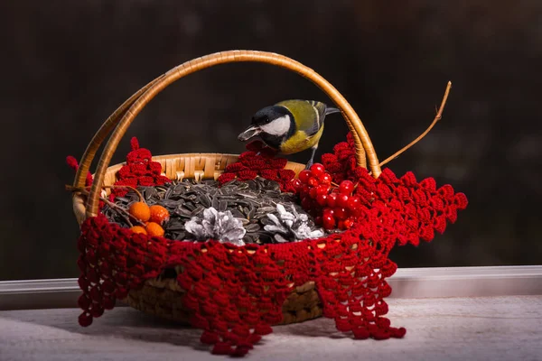 Kohlmeise im Futterhäuschen schönes helles Bild mit einem Vogel — Stockfoto