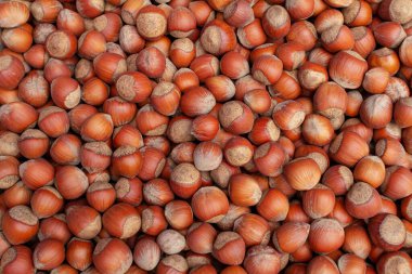 Bu fındıkların yemek geçmişi. Katı kahverengi doğal arka plan fındık serpintisinden oluşur.