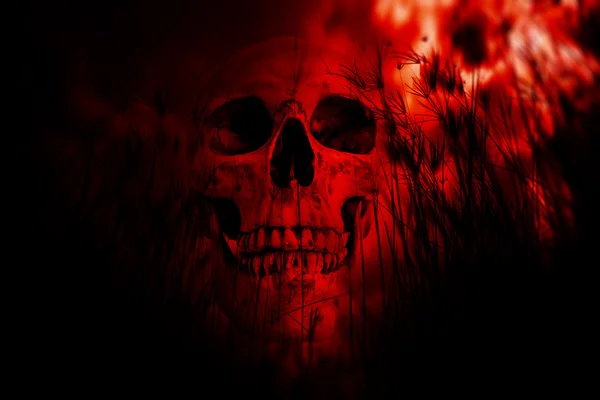 Crânio humano na floresta, fundo de terror para o conceito de Halloween e filme Poster Project — Fotografia de Stock