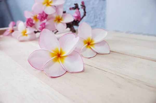 Frangipani květované na dřevěnou podlahu — Stock fotografie