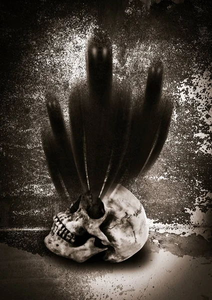 Baş kemik ruhlardan 