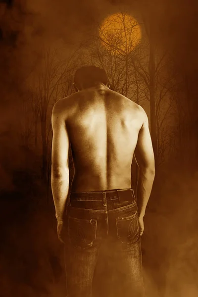 Мужчина без рубашки в темном лесу, фон ужаса для обложки книги — стоковое фото