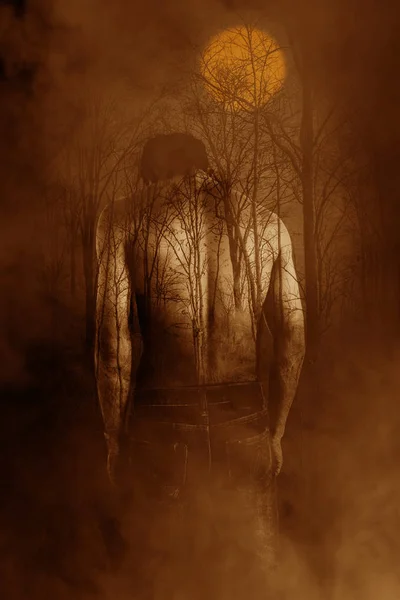 Shirtless man in dark forest,Horror background for book cover — Stock Photo, Image