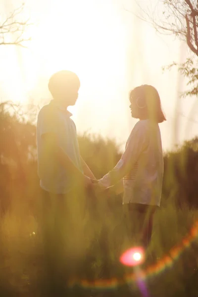 Romantica Giovane Coppia Che Mostra Amore Cura Parco Giorno San — Foto Stock