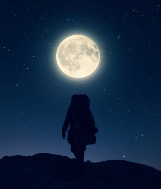Zirvenin tepesinde, ay ışığı altında, 3D Illustrati.