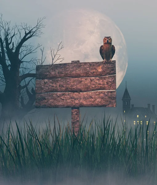 Сова Старой Деревянной Вывеске Ночью Хэллоуин Рендеринг — стоковое фото