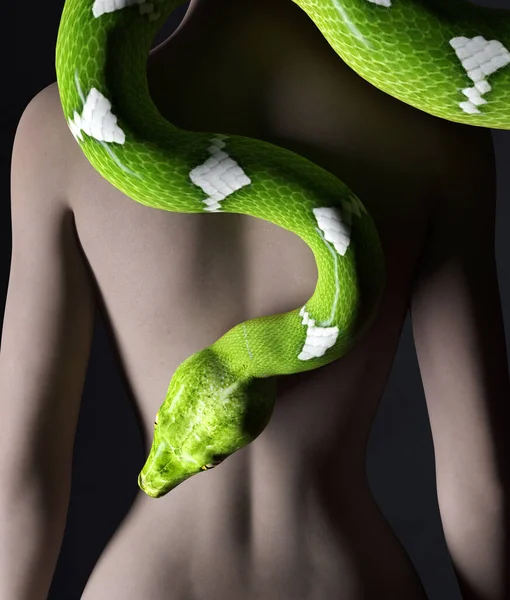 绿树蟒蛇女 3D渲染 — 图库照片