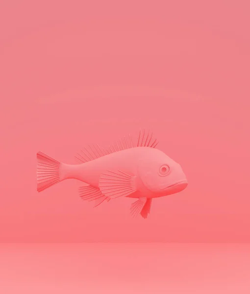 Poisson Roche Sur Fond Couleur Pastel Fond Conceptuel Style Minimal — Photo