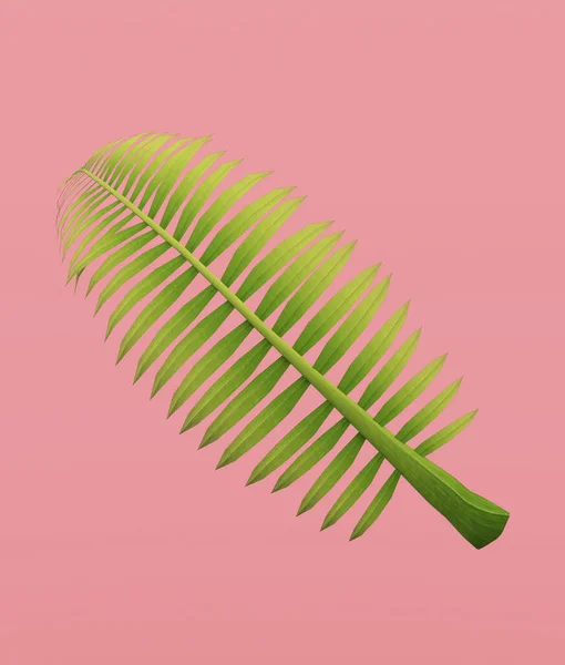 Palm Frond Fundo Cor Pastel Renderização — Fotografia de Stock