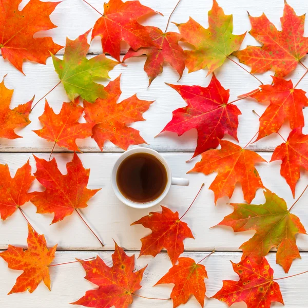 Xícara de café no fundo de madeira branco com folhas de bordo de outono — Fotografia de Stock