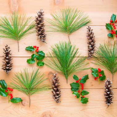 Noel kompozisyon. Çam kozalakları ve dalları h ile desen