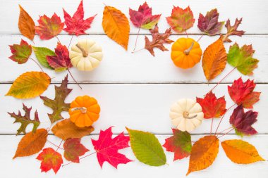 Sonbahar çerçeve kompozisyonu renkli yaprakları ve kabaklar.