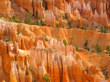 Güzel kaya oluşumu - Bryce Canyon Ulusal par Hoodoos