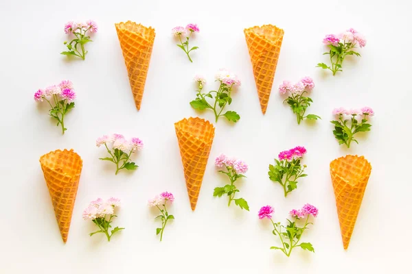 Ice cream våffla kottar och krysantemum blommor på vit w — Stockfoto