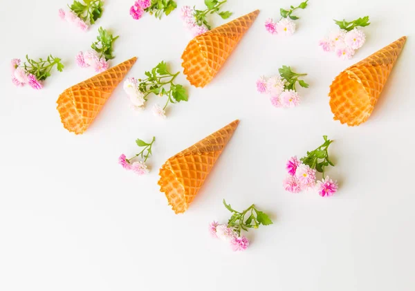 Ice cream våffla kottar och krysantemum blommor på vit w — Stockfoto