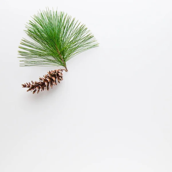 Kerst decoratie samenstelling van dennenappel en branche op wh — Stockfoto