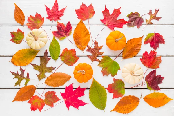 Herfst patroon samenstelling van kleurrijke bladeren en pompoenen. — Stockfoto