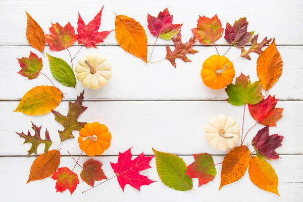 Φθινοπωρινή σύνθεση καρέ πολύχρωμα φύλλα και κολοκύθες. — Φωτογραφία Αρχείου