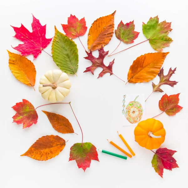 Autumn frame composition of colorful leaves and pumpkins. — Stock Photo, Image