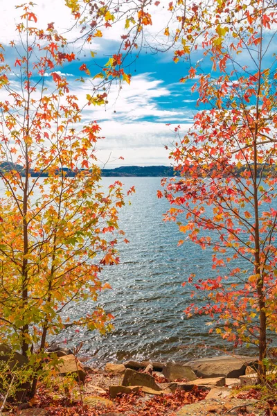 Uitzicht op meer via mooie herfst esdoorn-bomen. — Stockfoto