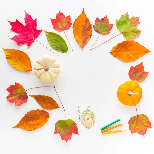 Composição do quadro de outono de folhas coloridas e abóboras . — Fotografia de Stock